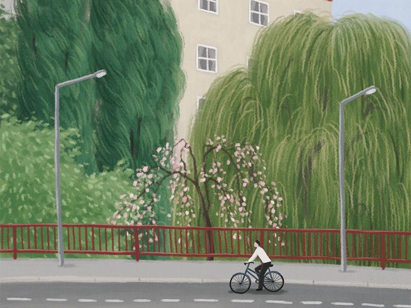 ảnh chàng trai vẽ minh hoạ